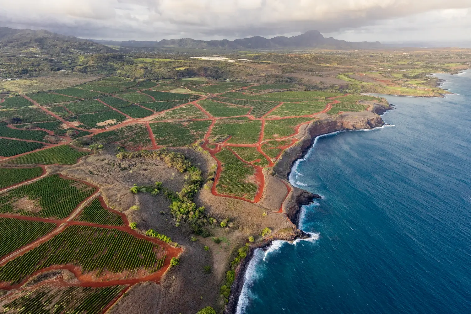 MikeCoots_Kukuiula_CBRE_Helicopter_Edited_LowRes-3047